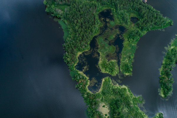 Les femmes face au Prix Femina : une perspective analytique et critique